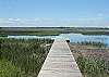 Marsh Dock
