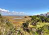 Marsh View
