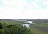 Marsh View