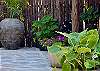Lush, tropical and sublime!
