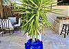 Potted palm trees surround the Cabana & swimming pool.
