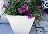 Beautiful poolside planters filled with colorful exotic plants.