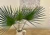 Styled with fresh palm leaves.