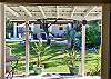 Poolside views from the kitchen's french doors.