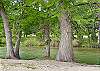 Easy flat walk to your private riverside.