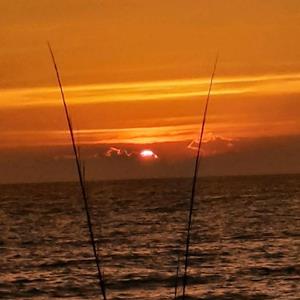 Featured Property B305