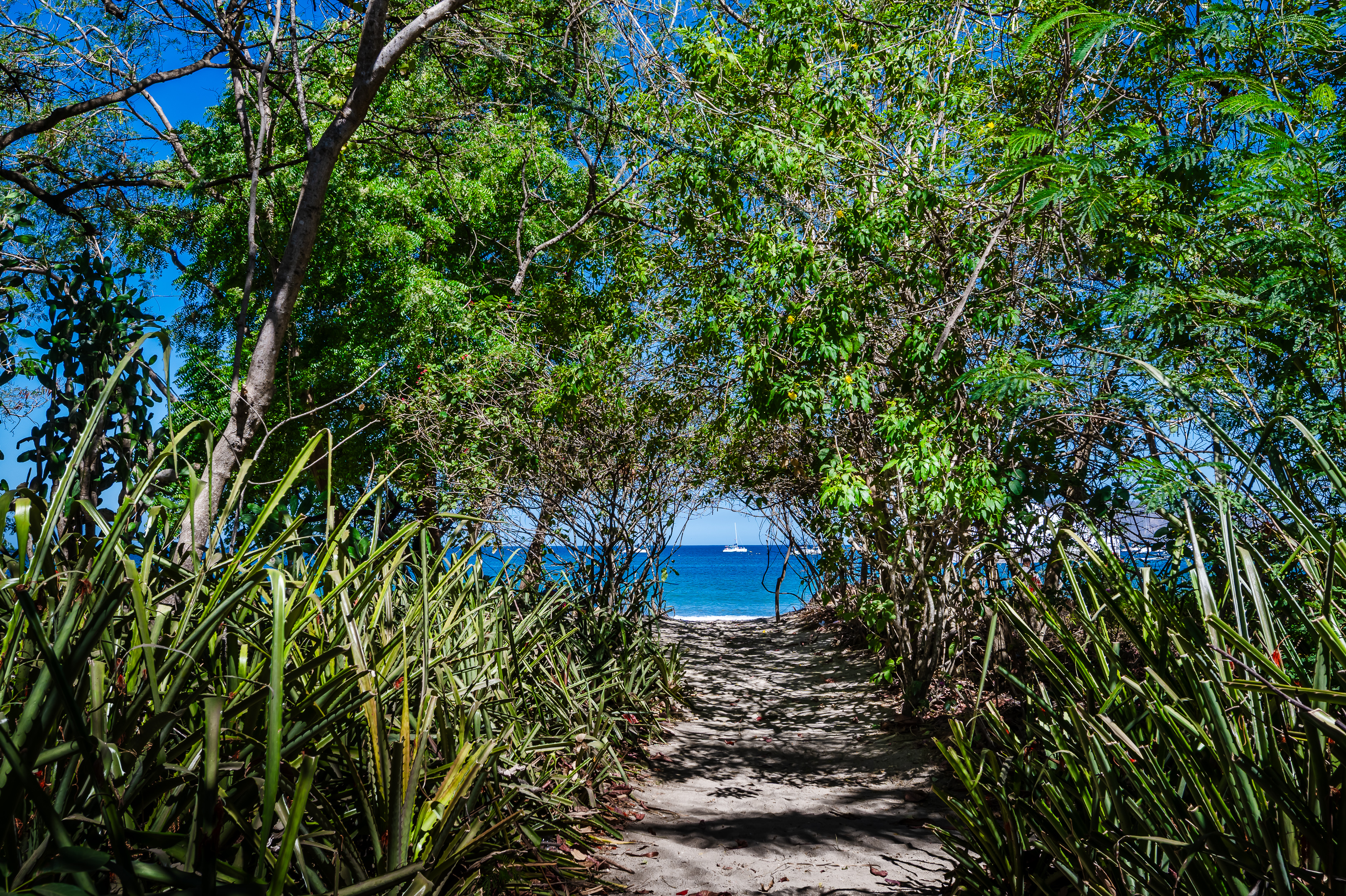 Tamarindo Vacation Rentals | Luxury Vacation Rental Tamarindo Co