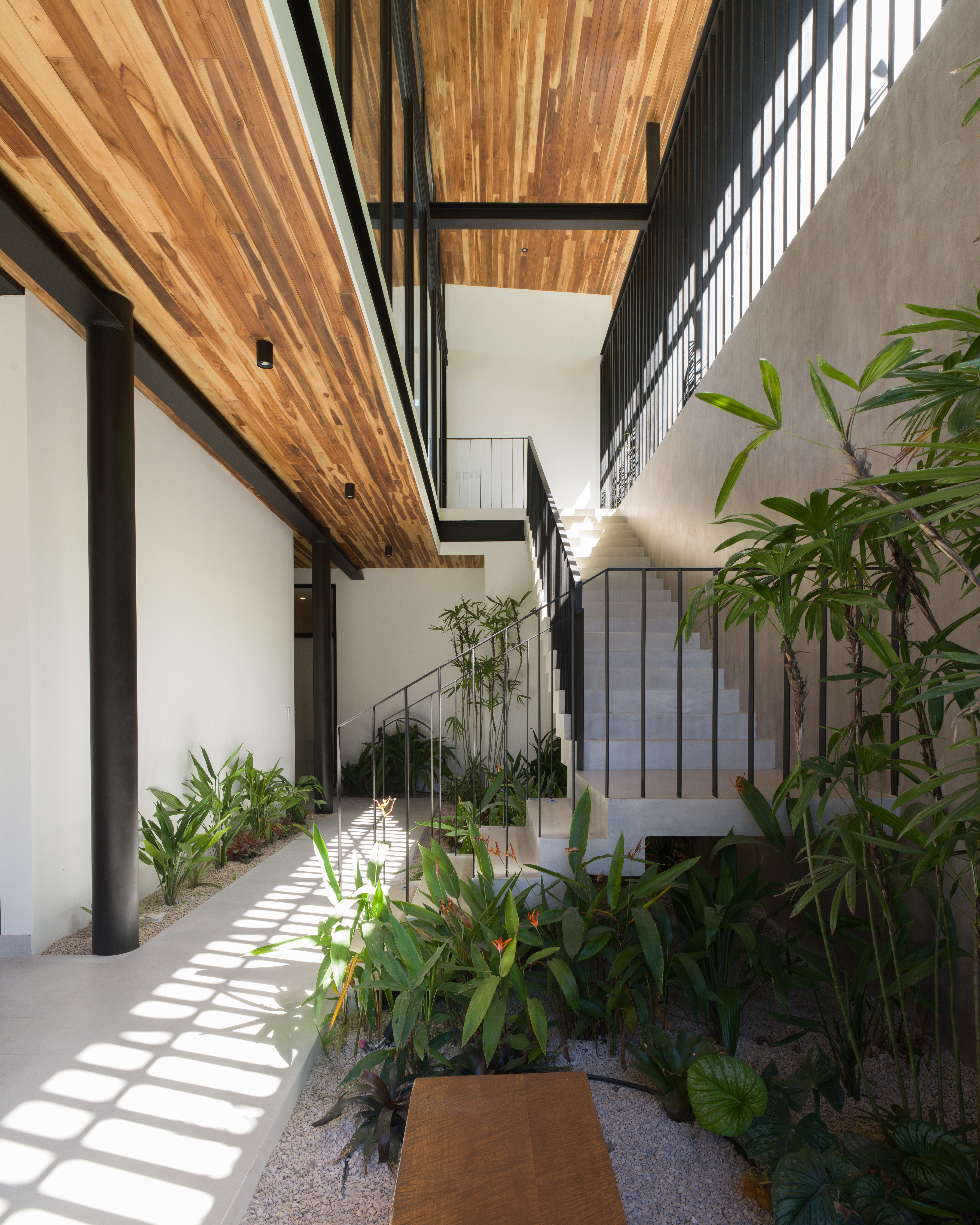 Interior garden space with tropical plants 