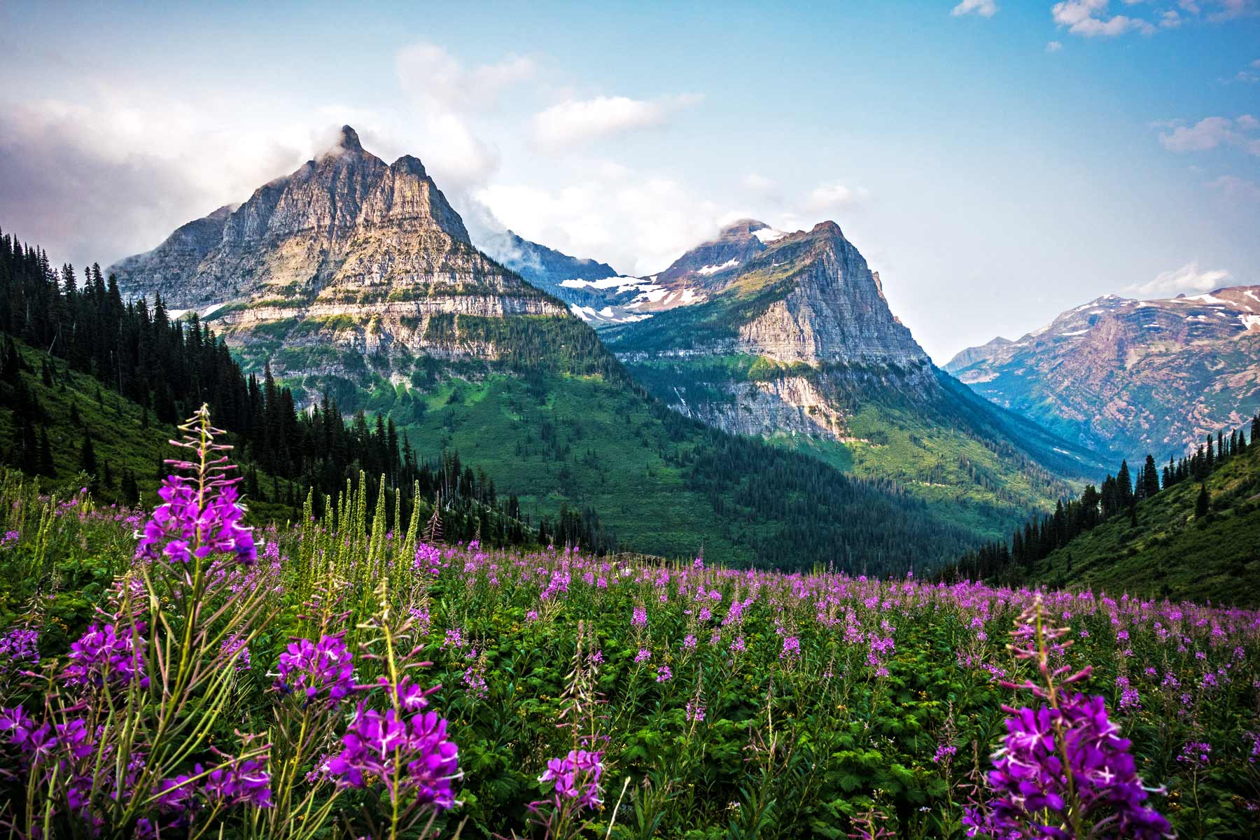 Glacier Park