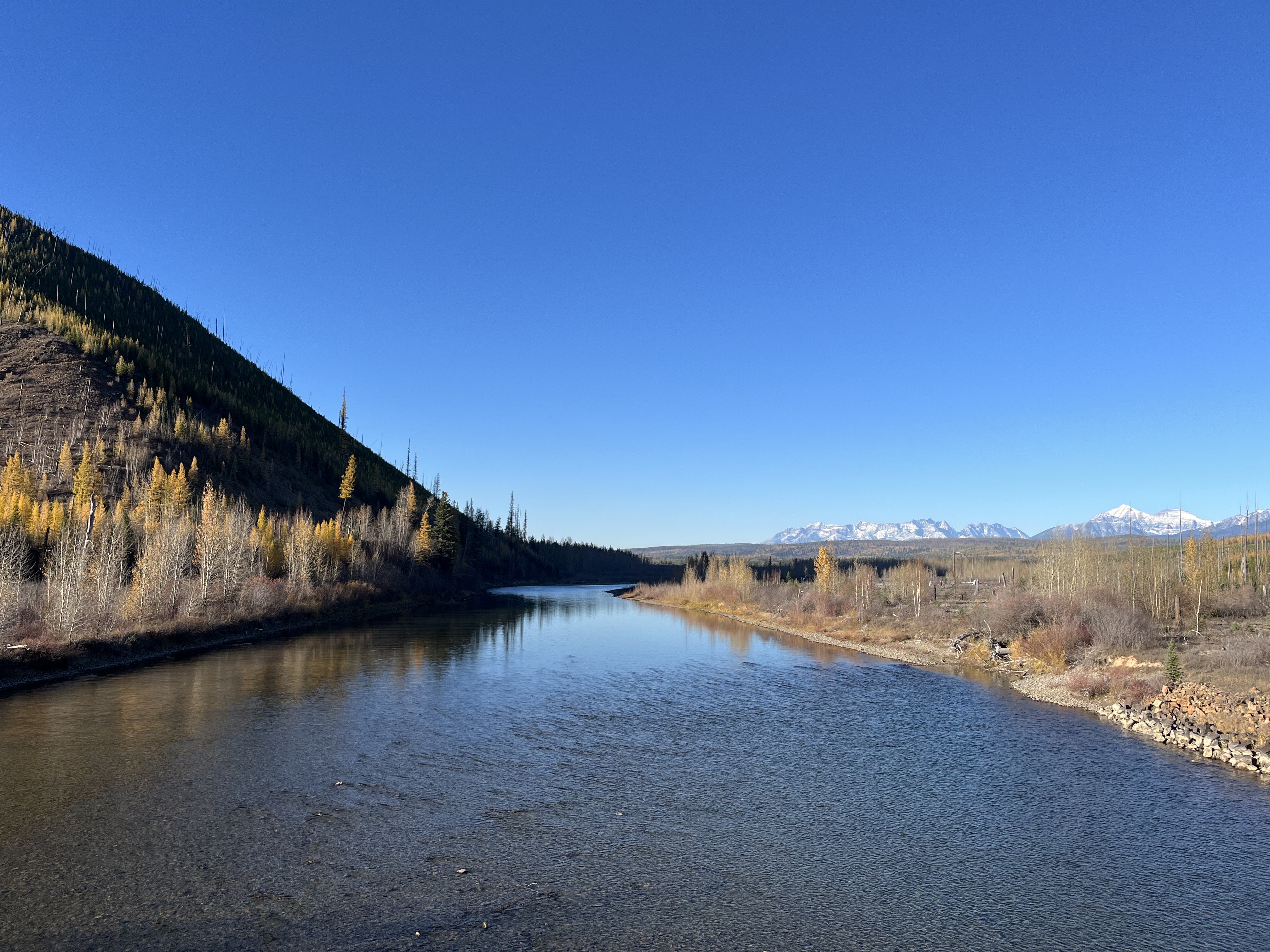 Flathead River