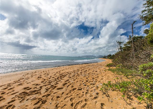 Coconut Coast Beach