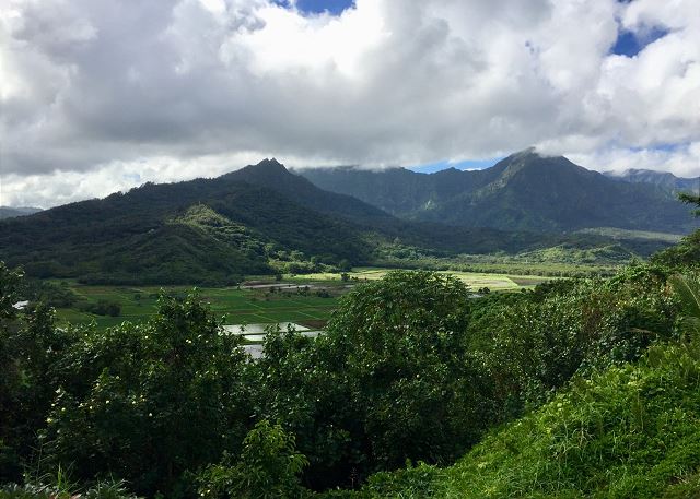 Hanalei Valley