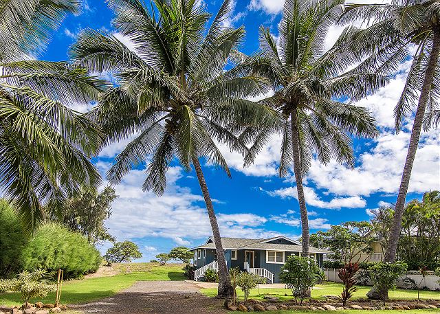 Coconut trees line the property of this beautiful ocean front beach home.