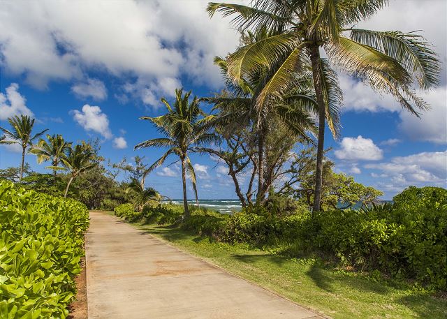 Walking Path