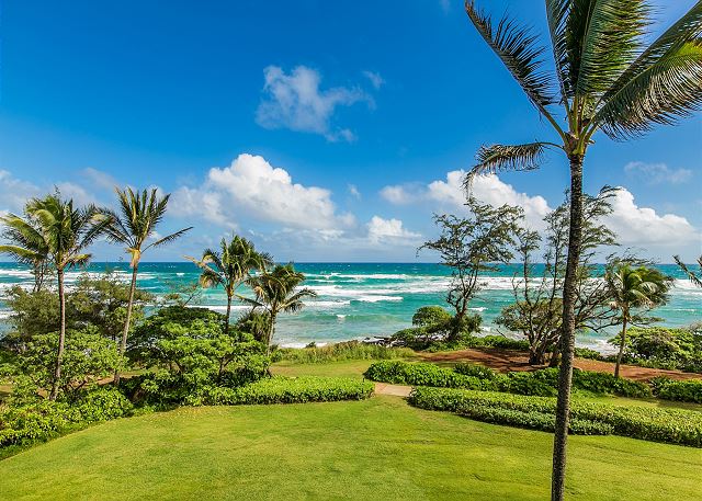 Lanai View!