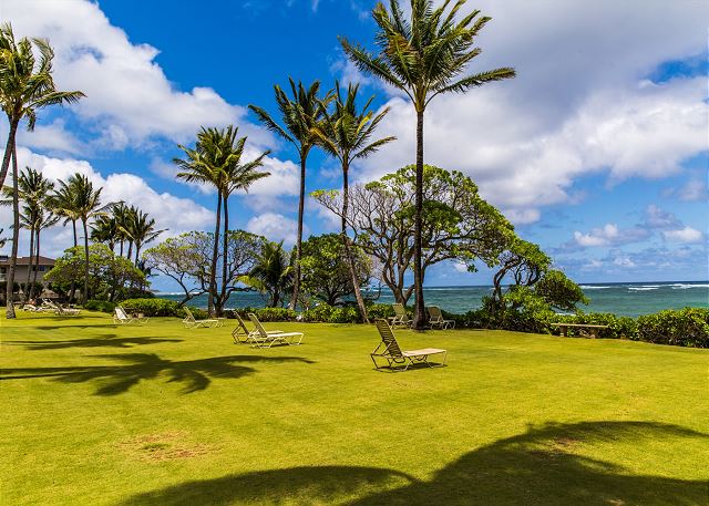 The grounds at your oceanfront condo in Kapa'a.