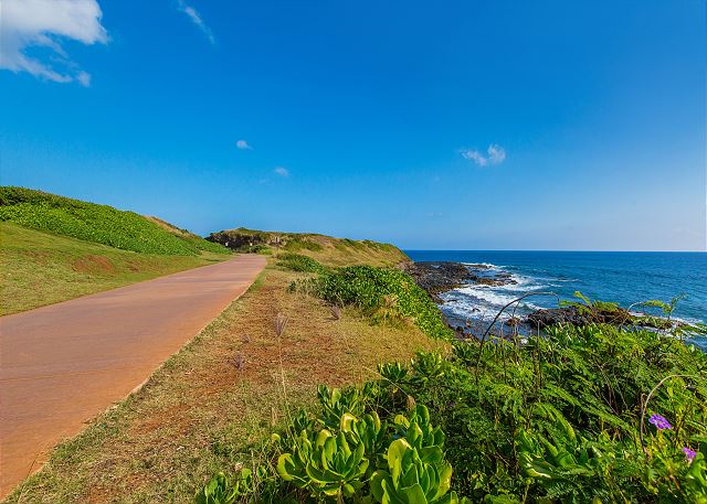 The Path that goes by the Coast is a great place to spend the day exploring the Coconut Coast by foot or bike.