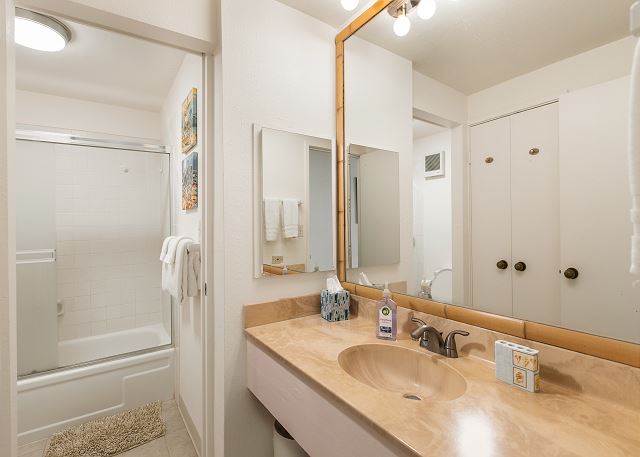 1st Floor Full Bathroom with Shower Tub