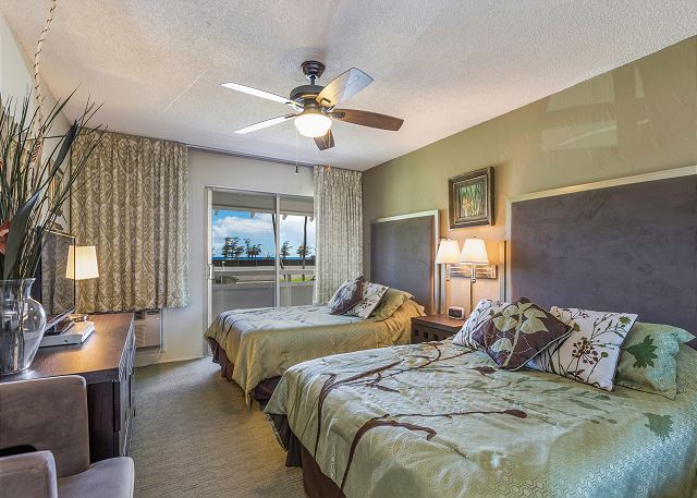 Bedroom with AC, 2 Full Size Beds and TV