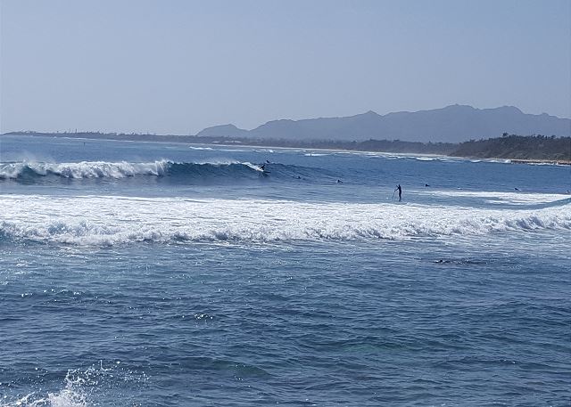 Surfers on the Coconut Coast
