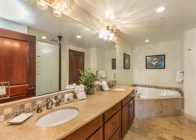 Master bathroom with spa tub