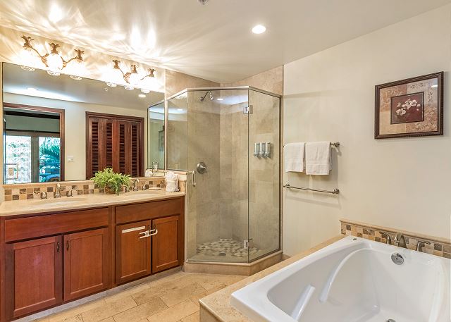 Second bathroom with spa tub and shower
