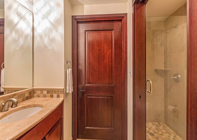Master Bath Shower with Spa Tub
