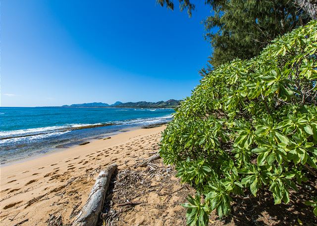 Walk along the sandy, uncrowded beaches