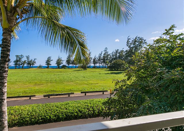 Due to upcoming construction across the street, there is a temporary wall which blocks the field but the ocean is visible.