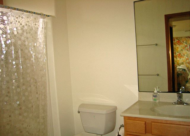 Downstairs full bathroom