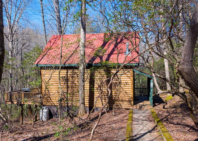 Firefly Hill | Photo 31