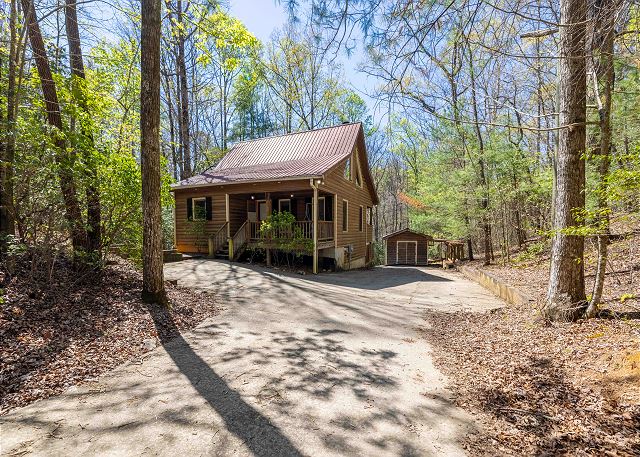 Knotty Pine | Photo 39