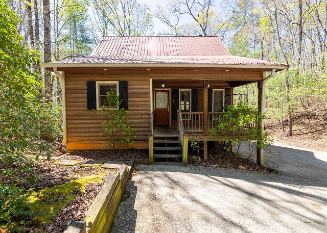 Knotty Pine | Photo 41