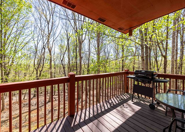 Back Deck with Gas Grill