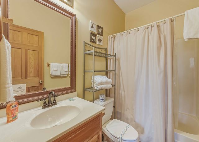 Upstairs Shower/Tub Combo