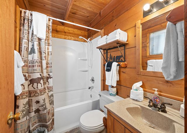 Bathub/Shower Combination