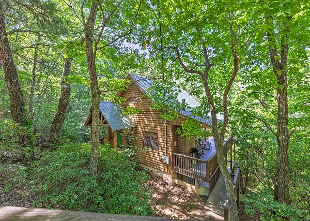 Big Sky Nestled in the Trees