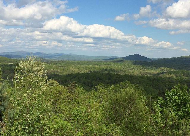 Five Seasons | Photo 50