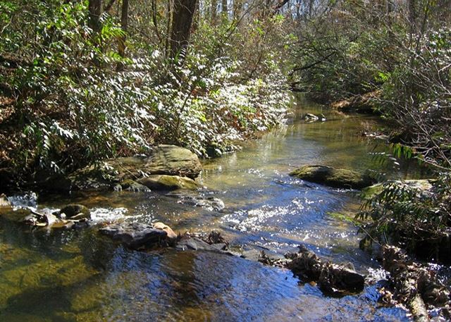 Amy's Creek 1 | Photo 32