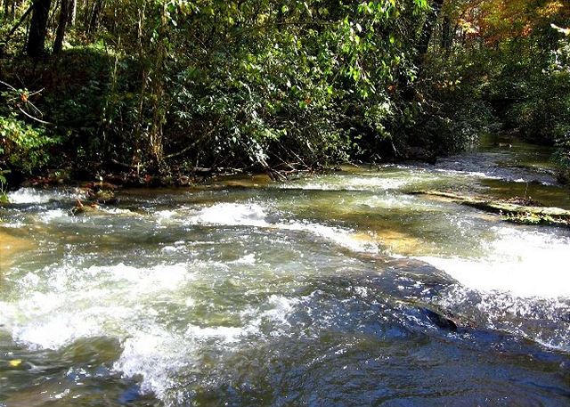 Amy's Creek 1 | Photo 31