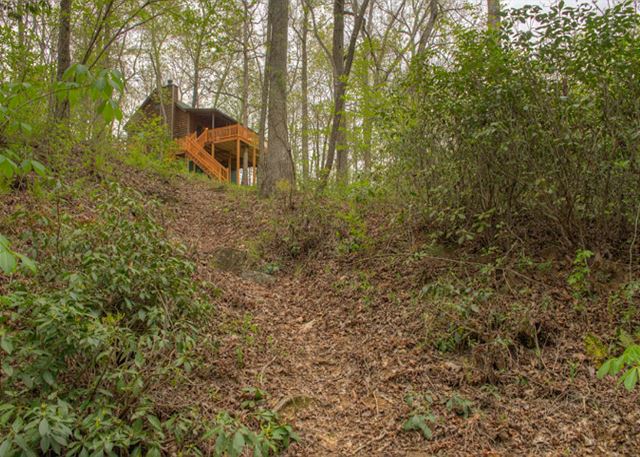 Amy's Creek 1 | Photo 33