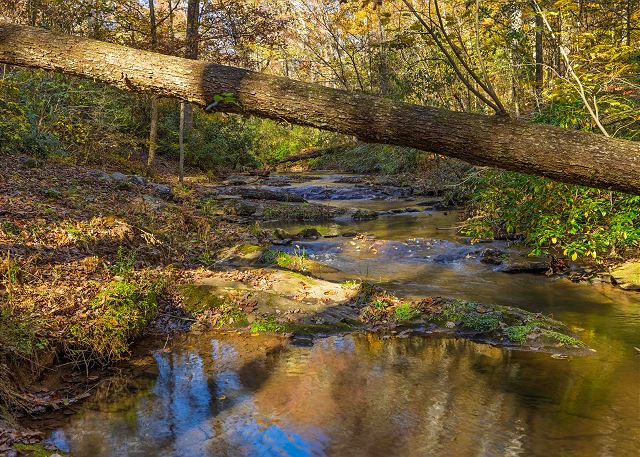 Amy's Creek 2 | Photo 29