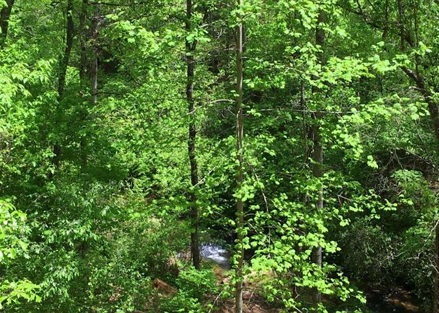 Amy's Creek 2 | Photo 30