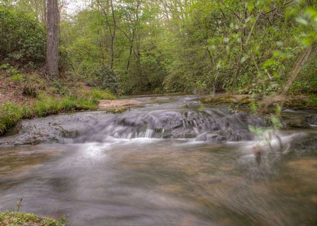 Amy's Creek 2 | Photo 27