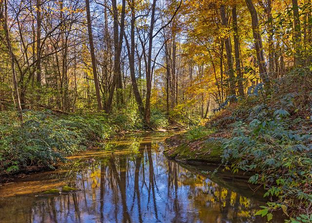 Amy's Creek 2 | Photo 25