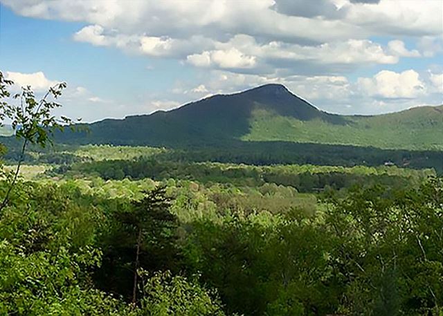 Yonah Mountain in all Her Green Glory