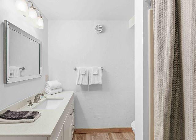 Downstairs Bath with Walk-in Shower and Vanity