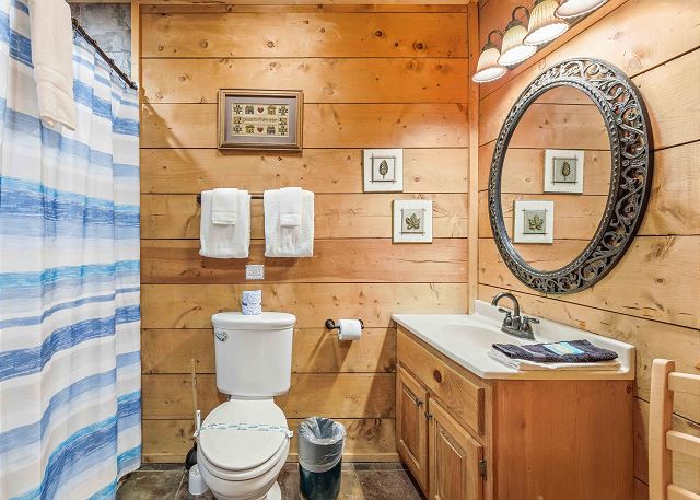Bathroom Vanity and Toilet