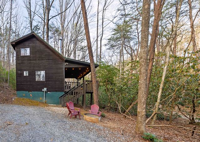 Honey Bear Haven in the Daylight