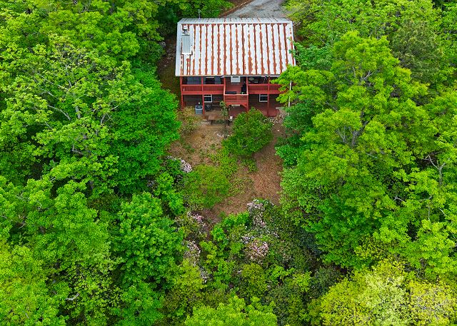 Bird\'s Eye View